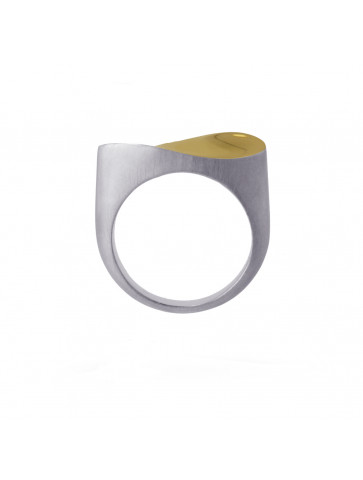 Surgical steel ring - matte texture