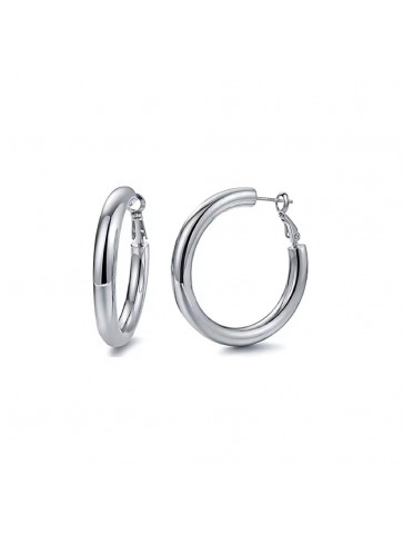 Earrings - stainless steel