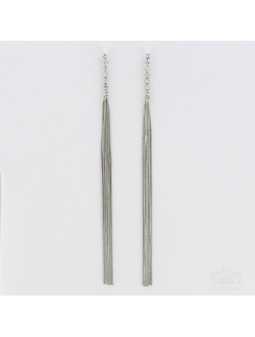 Longilinear crystal lines Earrings